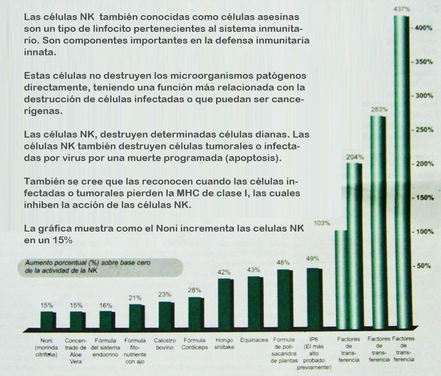 Cuanto jugo de noni debo tomar para adelgazar