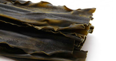 El Alga Kombu, un superalimento con muchas propiedades