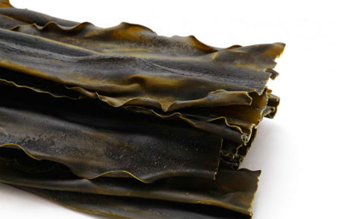 El Alga Kombu, un superalimento con muchas propiedades