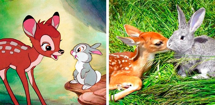 bambi y tambor en la vida real