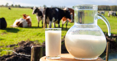 Dónde comprar leche fresca en Lima
