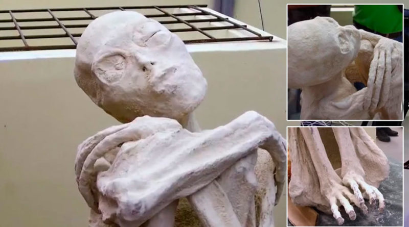 Las momias tridáctilas de Nazca