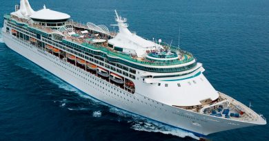 Por que es necesario un seguro de viaje para cruceros