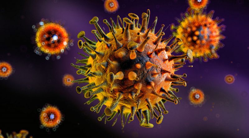 Los 12 virus más peligrosos del mundo