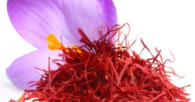 Flor de azafrán y hebras de azafrán, Qué es el azafrán.
