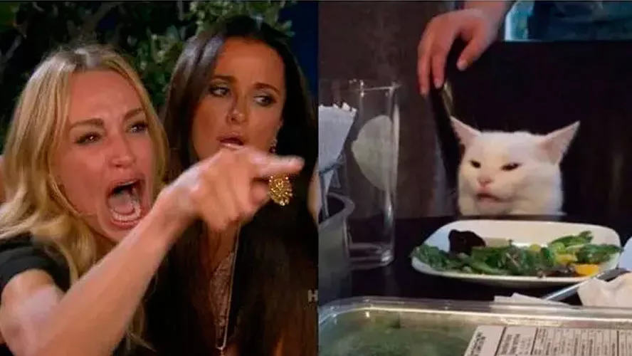 Woman Yelling at Cat Los 20 memes más famosos en Internet