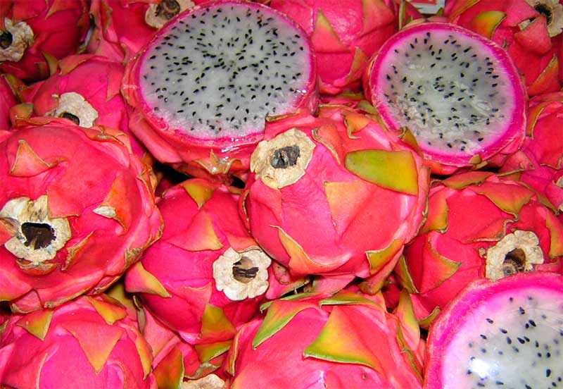 La Pitahaya: Todo lo que necesitas saber sobre la exótica fruta