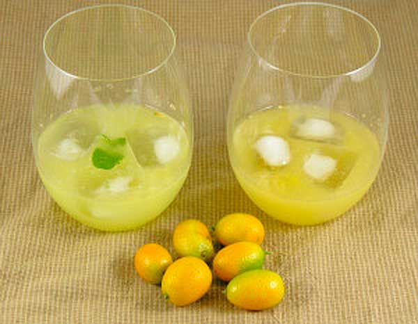 Daiquiri de Kumquat