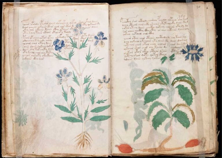 El Enigma del Manuscrito Voynich: ¿Un Código Indescifrable?